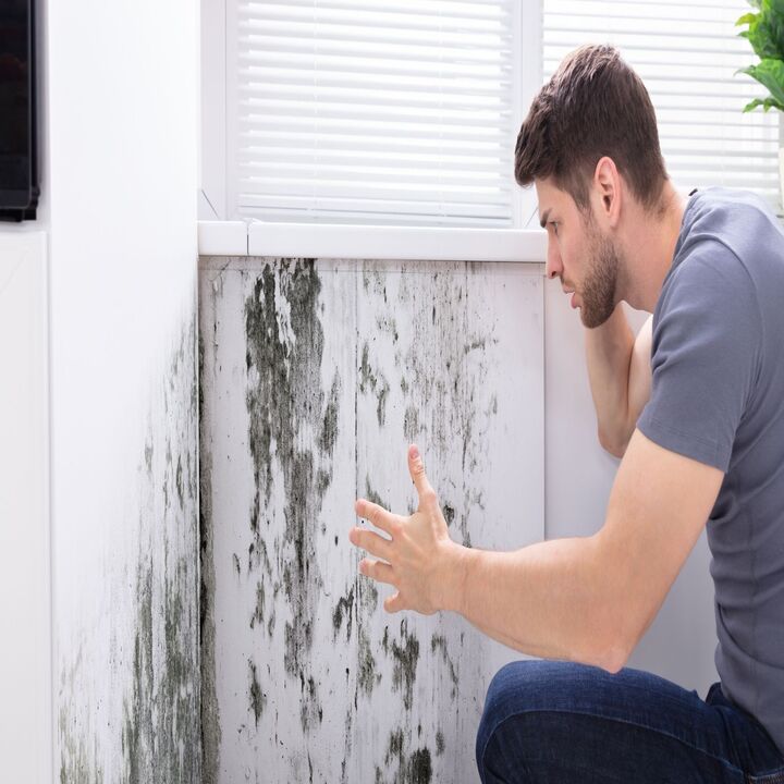 Sactown Mold`s Inspections