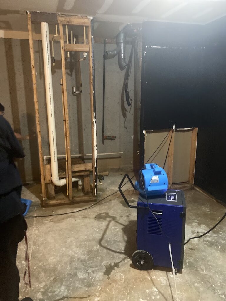 Sentry Mold Protection