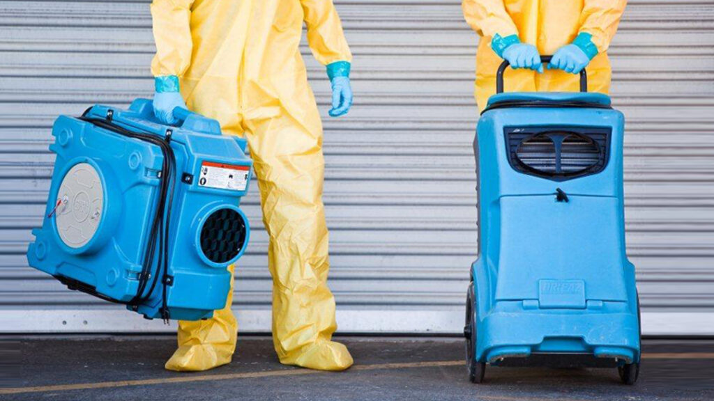 SJ Mold Removal