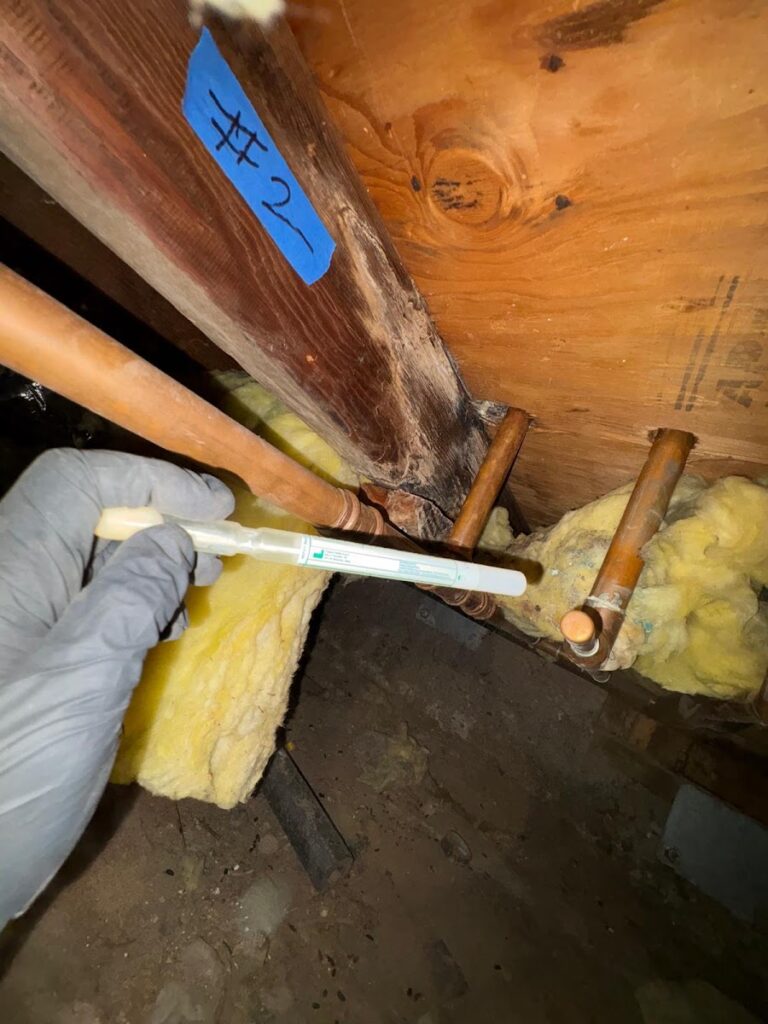 SOS Mold Inspection Los Angeles