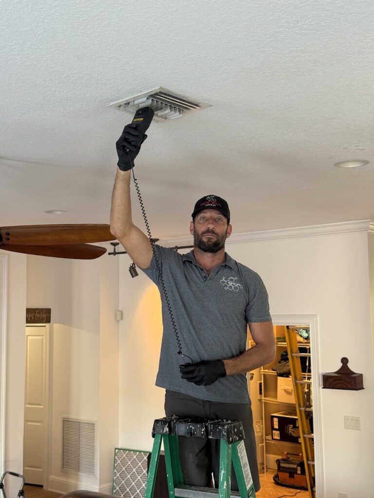 Spora Mold Remediation – Port St. Lucie