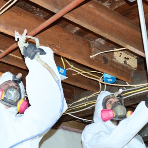 Strikes Mold Remediation