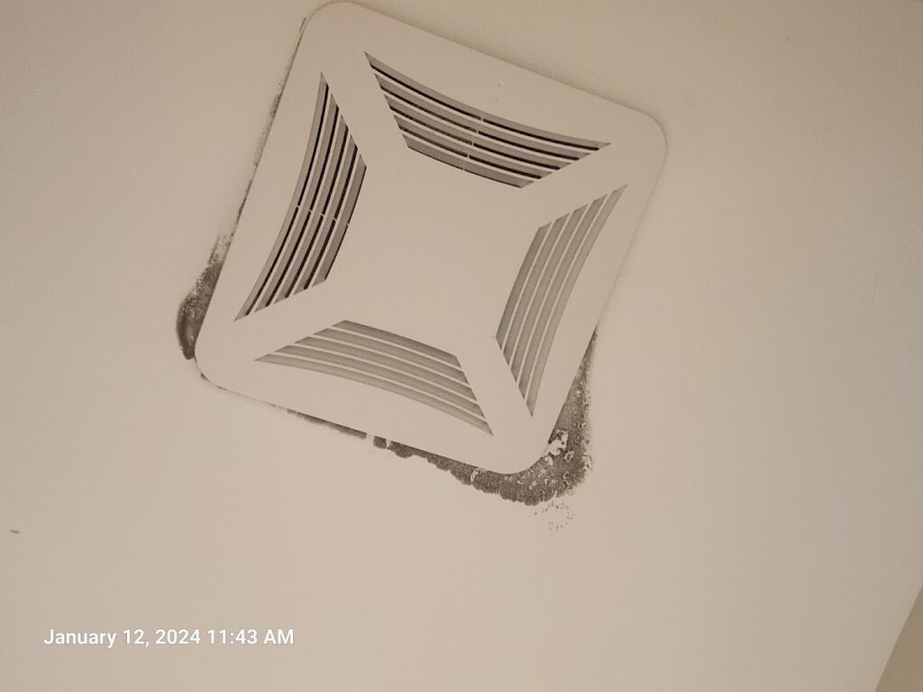 Tampa Bay Mold Testing Service