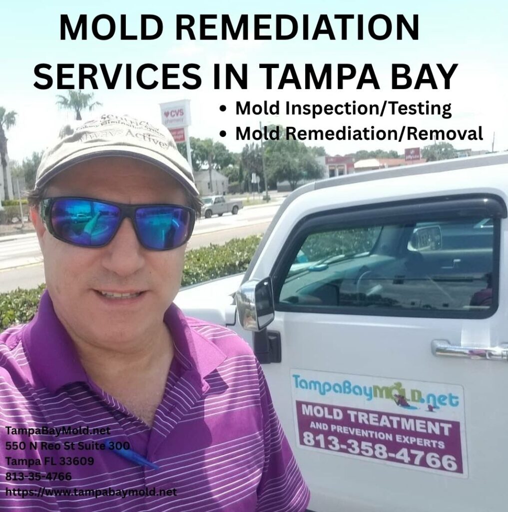 TampaBayMold.net
