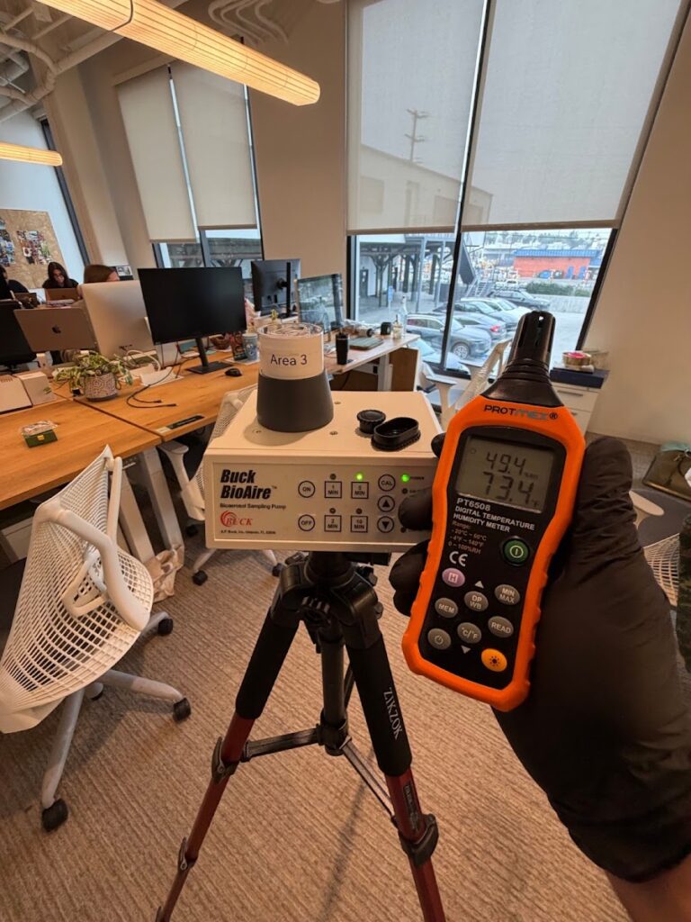 24H Mold Inspection of St Clair Shores