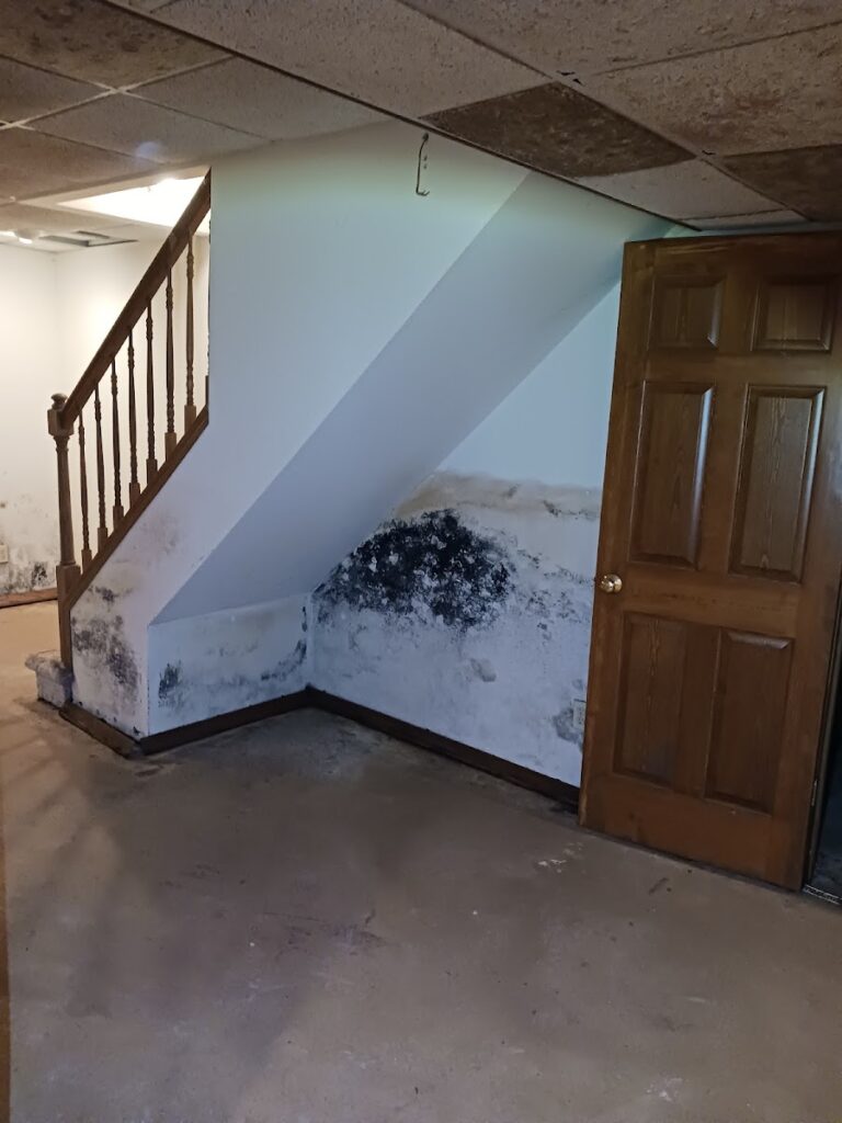 920 Restoration Water & Mold Remediation