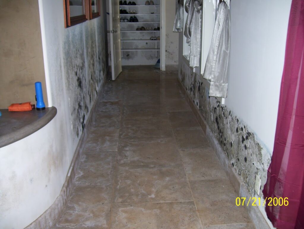 A1 Spotless Restoration