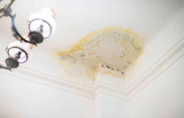 A1 Water & Mold Removal MA