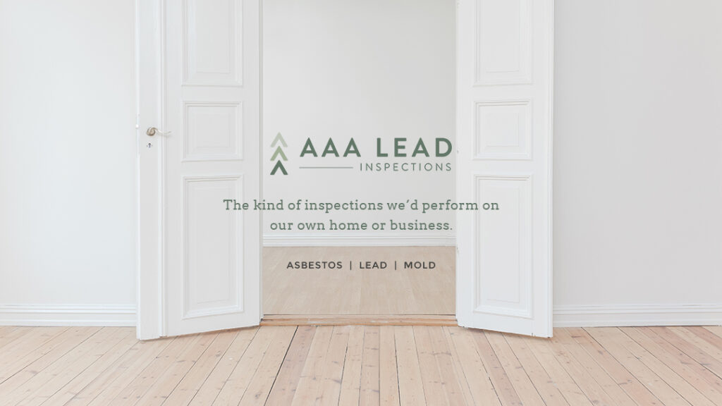 AAA Lead Inspections Inc