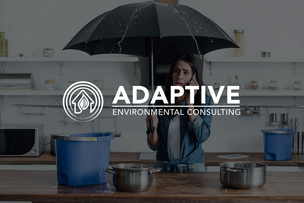Adaptive Environmental-Reno Mold and Asbestos Testing / Sampling Mold Inspection residential and commercial.