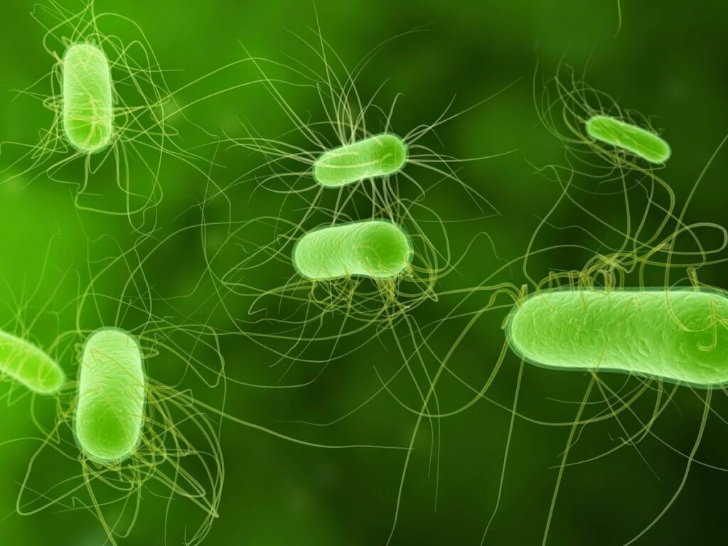 AirMD San Antonio TX