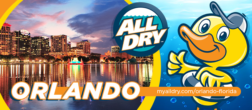All Dry Services of Orlando