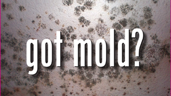 All Homes Inspection