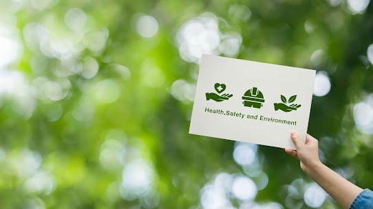 ALM ENVIRONMENTAL CONSULTANT