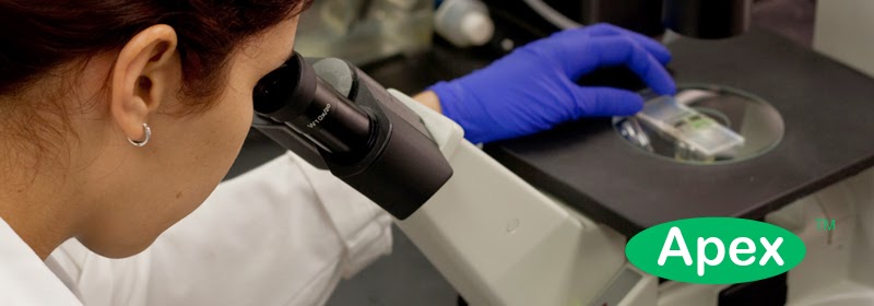 Apex Mold Specialists