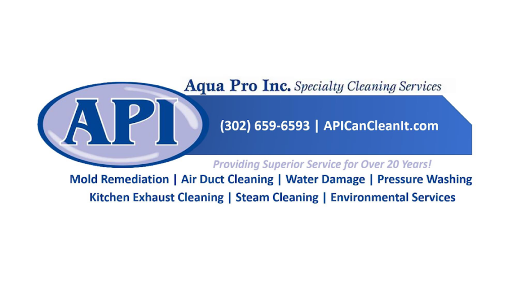 Aqua Pro Inc (API)