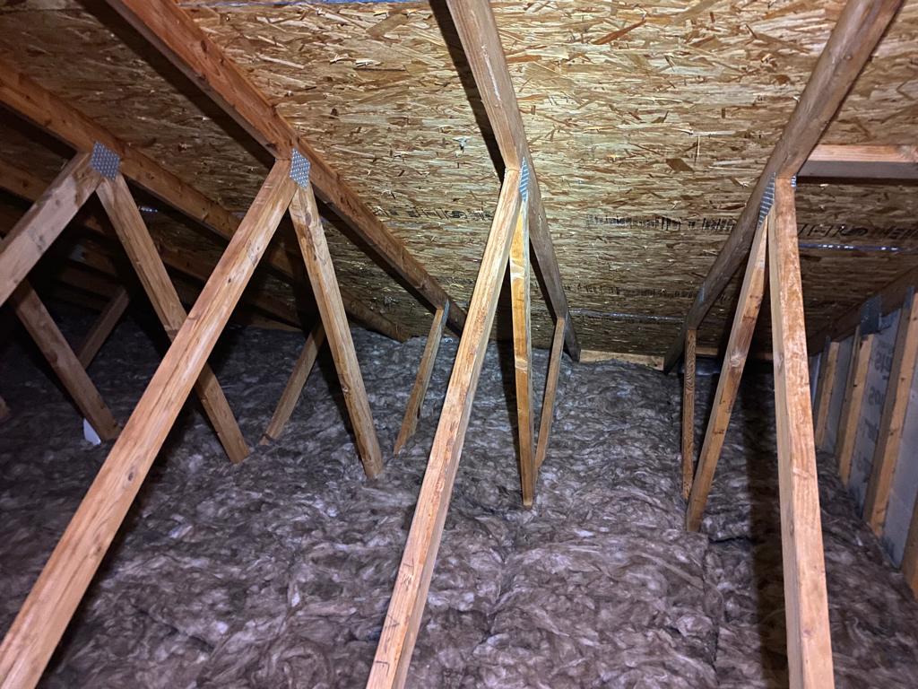 Attic Doctor