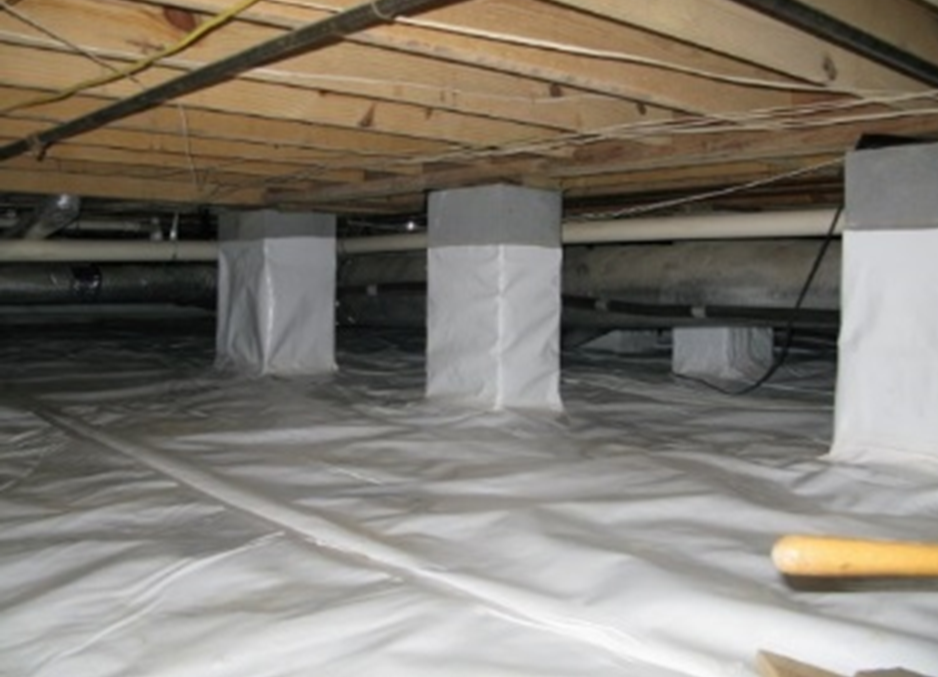 AuntieGen | Mold Removal in Milwaukee