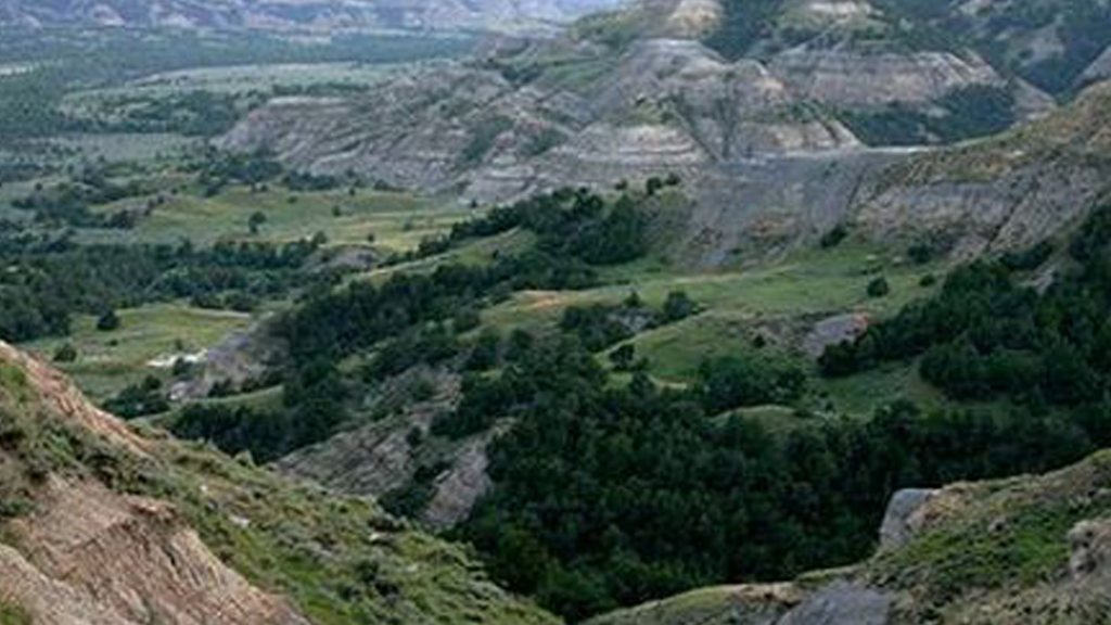 Badlands Environmental Consultants Inc