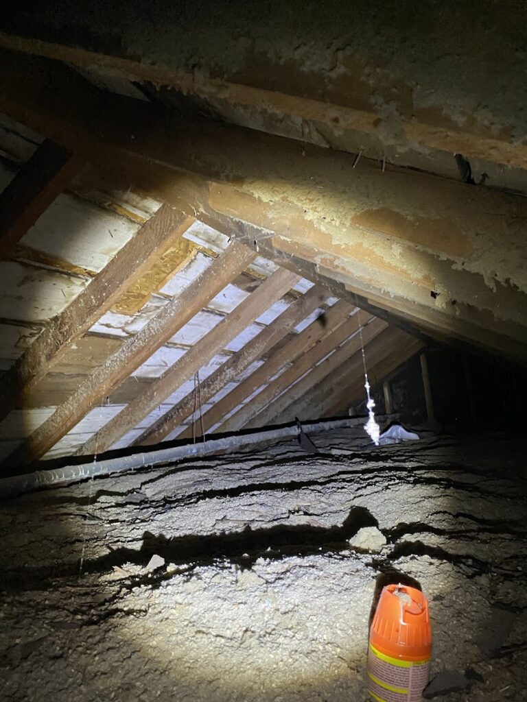 BaySide Inspections LLC
