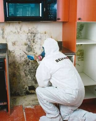 BELFOR Property Restoration (Savannah)