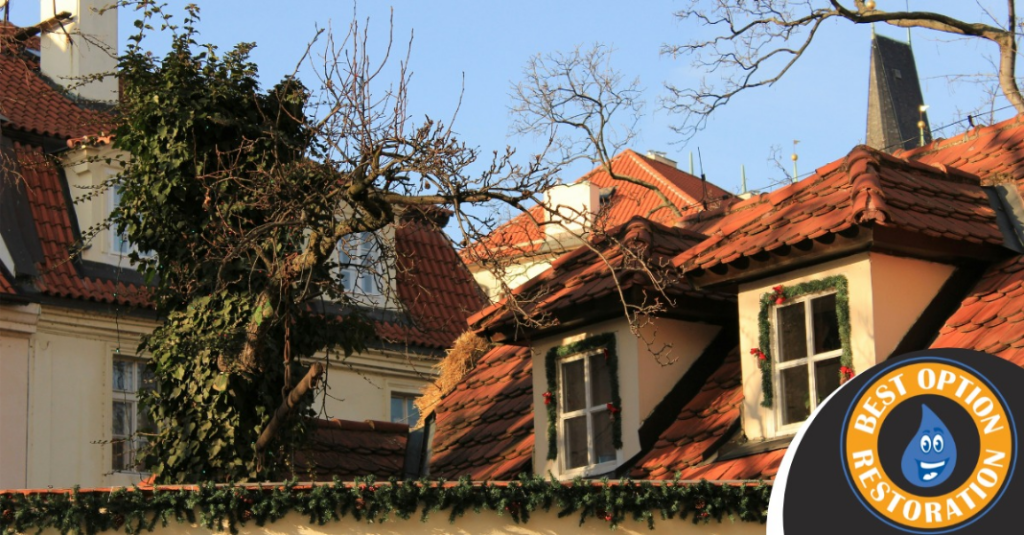 Best Option Restoration