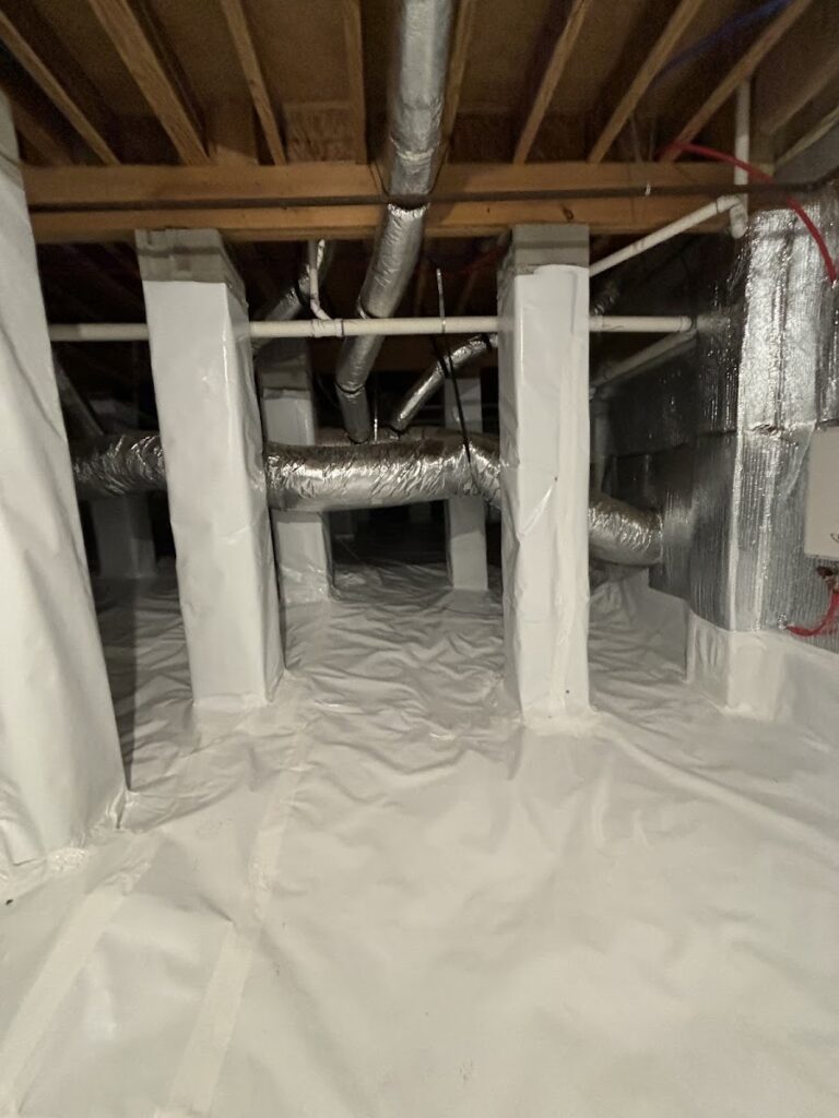 Breathe Easy Mold Remediation