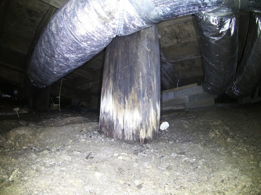 Buy Wise Home Inspections