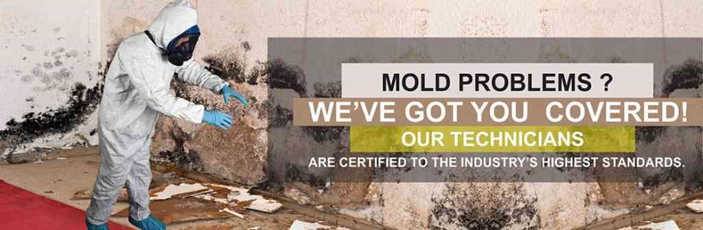 Catstrong Mold Inspection of San Antonio