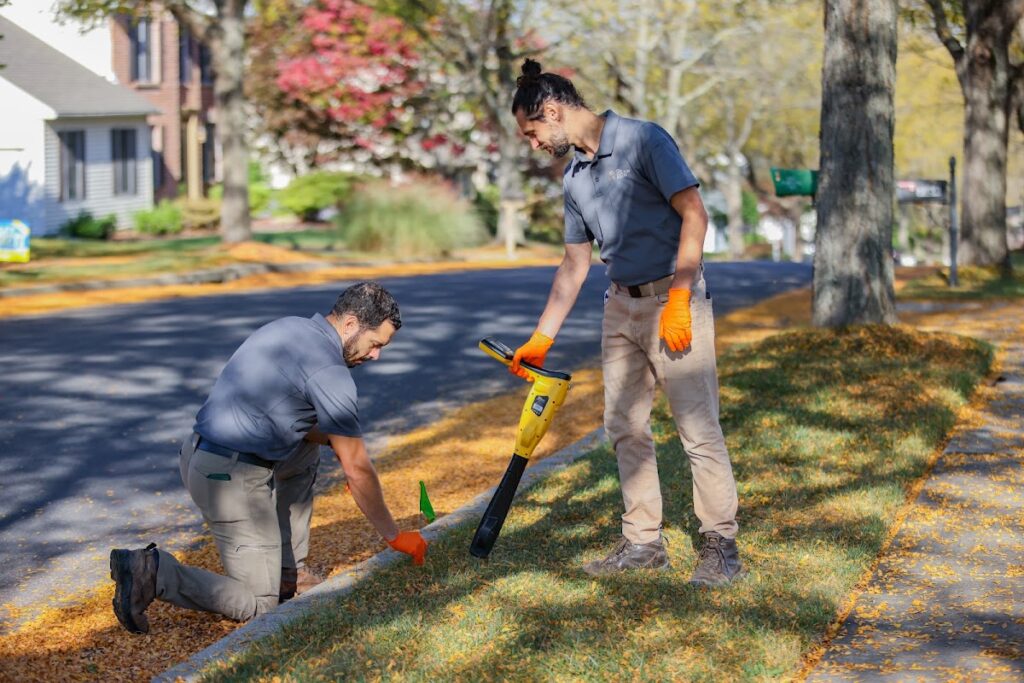 CDA Inspection Services