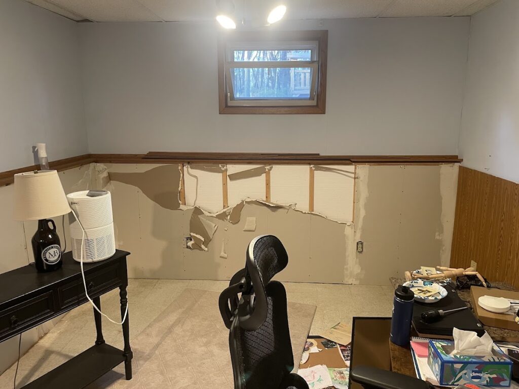 Certified Mold Inspection and Remediation Services