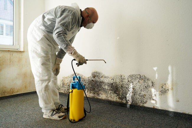 Certified Mold Removal Inspection and Testing Minneapolis MN