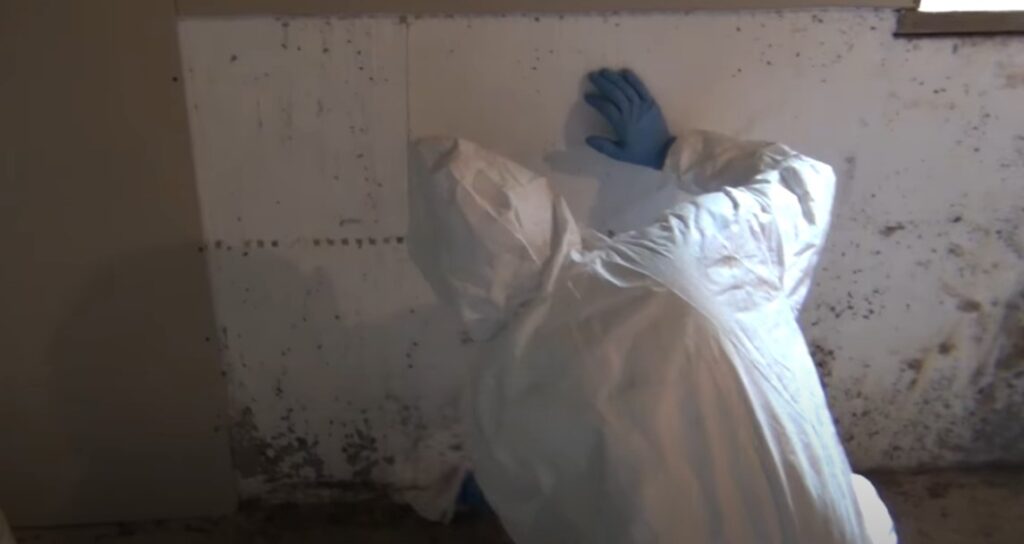 Certified Mold & Water Damage Restoration LLC