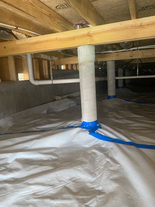 Certified Water and Mold Restoration – Springfield Mold + Water Damage Specialists