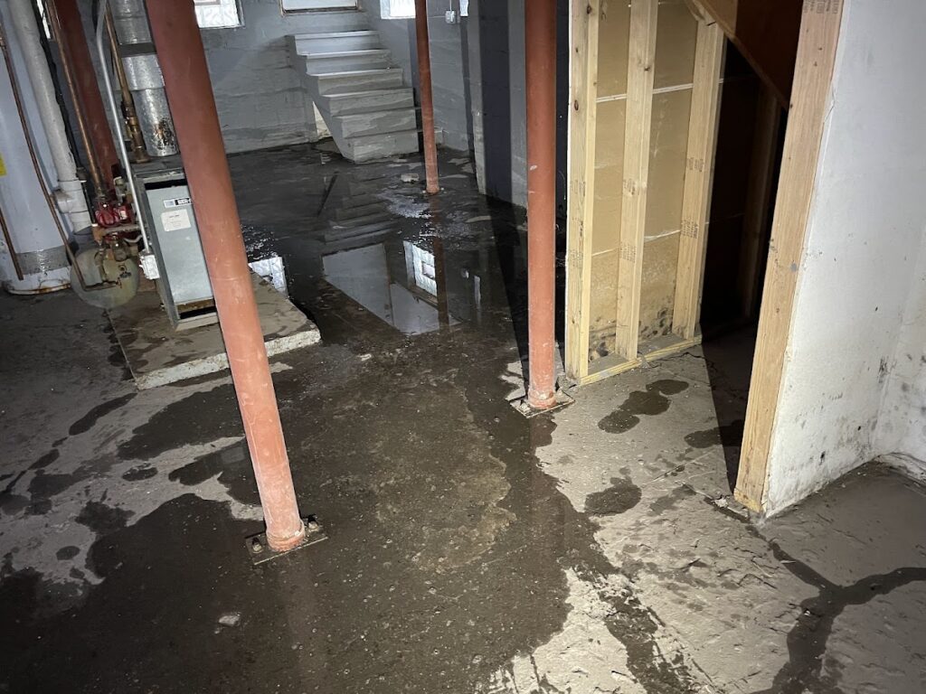 Chicago Mold Service