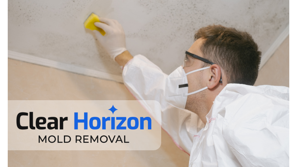 Clear Horizon Mold Removal