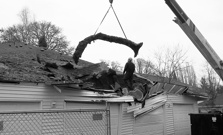 CMS Construction & Restoration