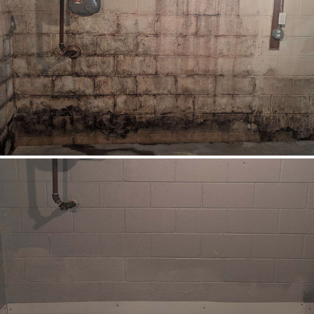 Comprehensive Mold