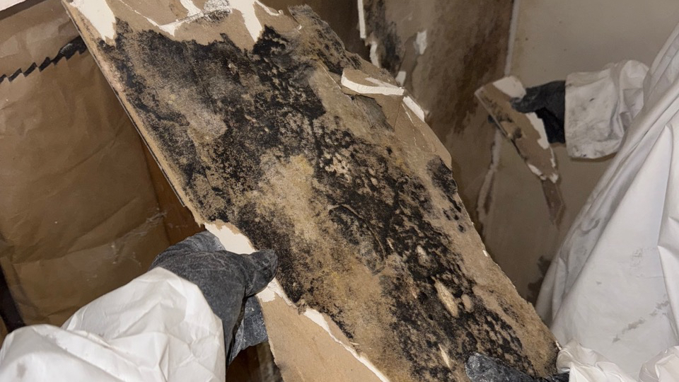 Daytona Restoration | Fire, Meth, Mold, Asbestos, Biohazard Cleanup