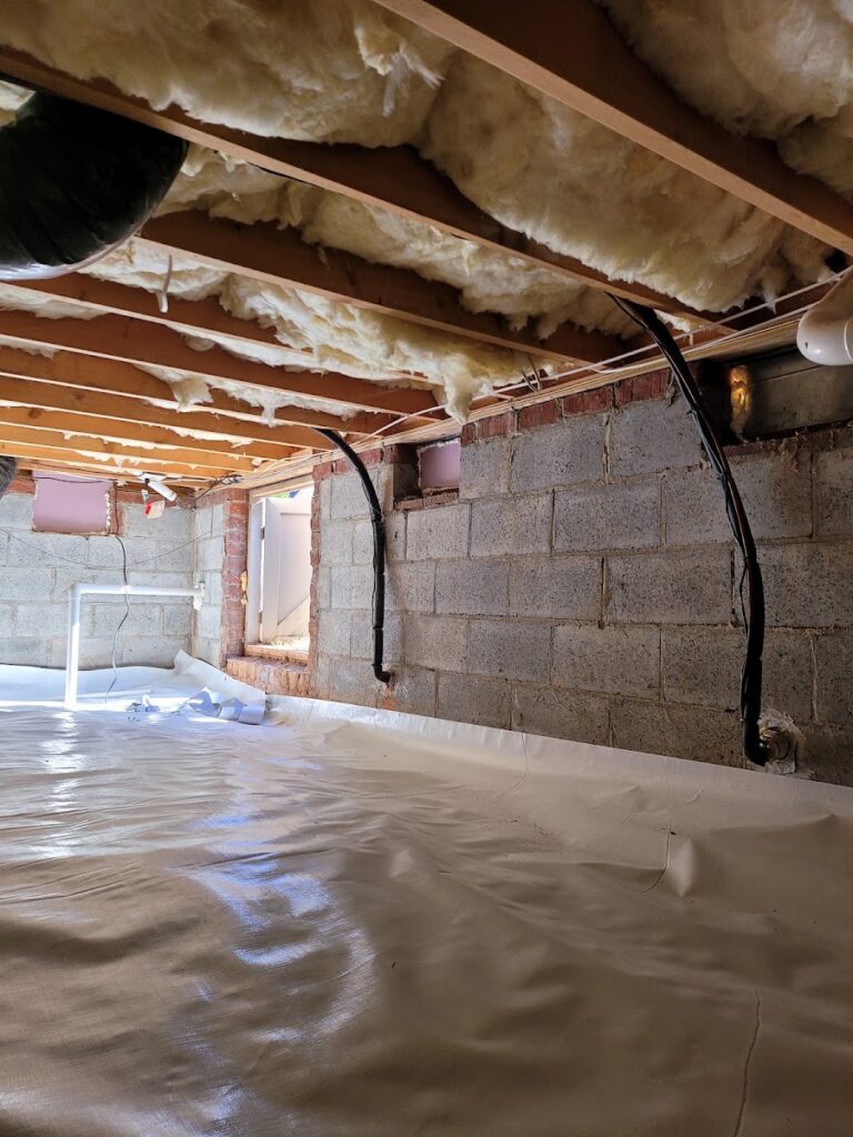 DRI-WRX MOLD & REMOVAL The Firm