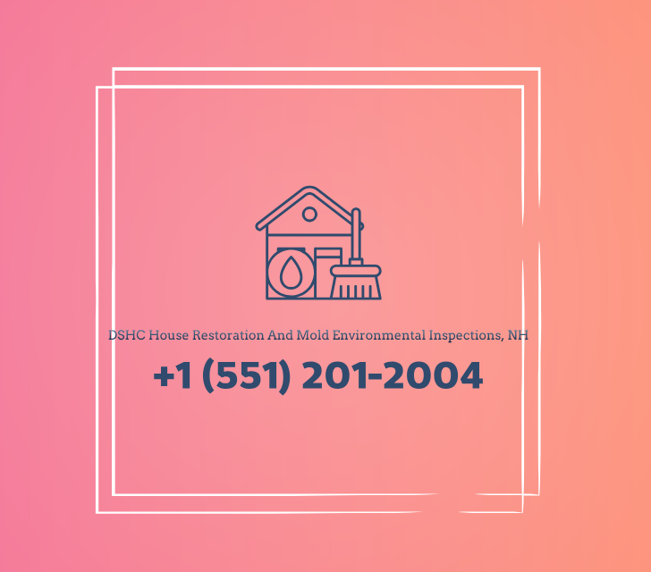 DSHC House Restoration And Mold Environmental Inspections, NH