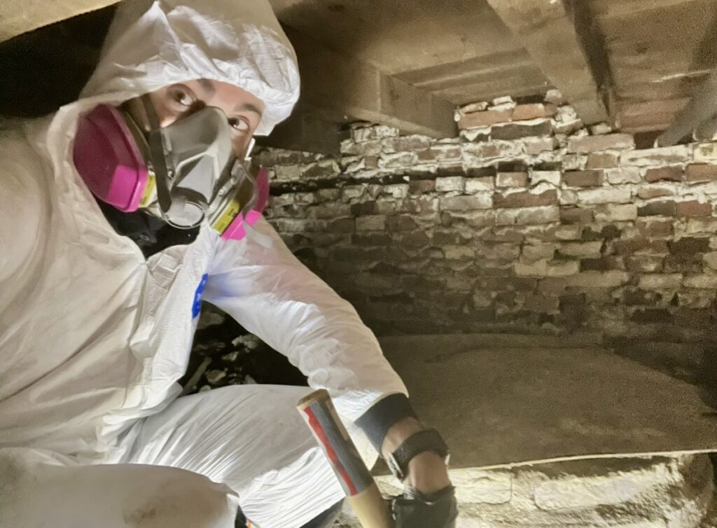 Elite Home & Mold Inspections
