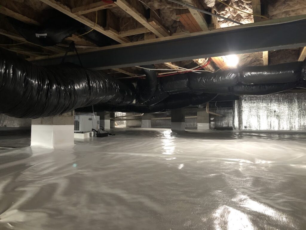 Elite Moisture Solutions