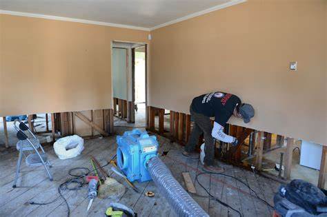 Elite Water and Fire Restoration, LLC