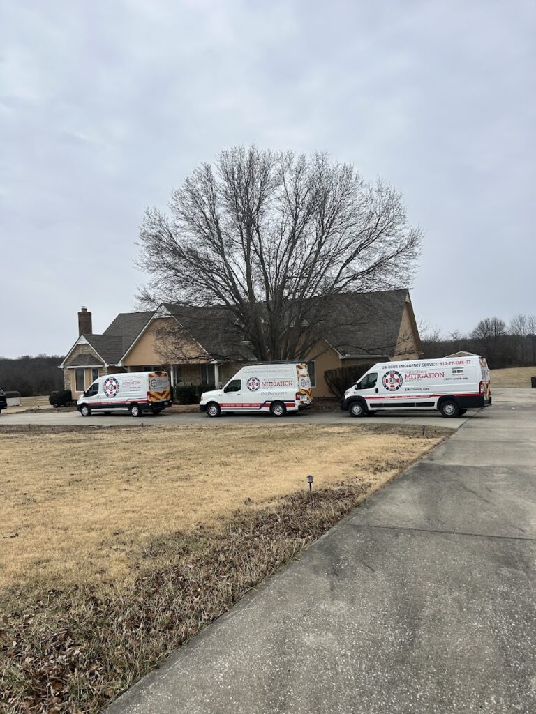 Emergency Mitigation Services, LLC