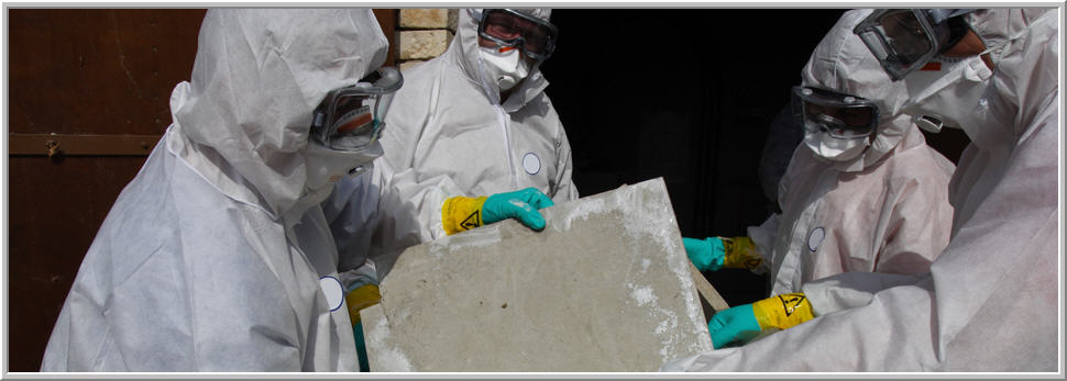 Environmental Testing Services Inc
