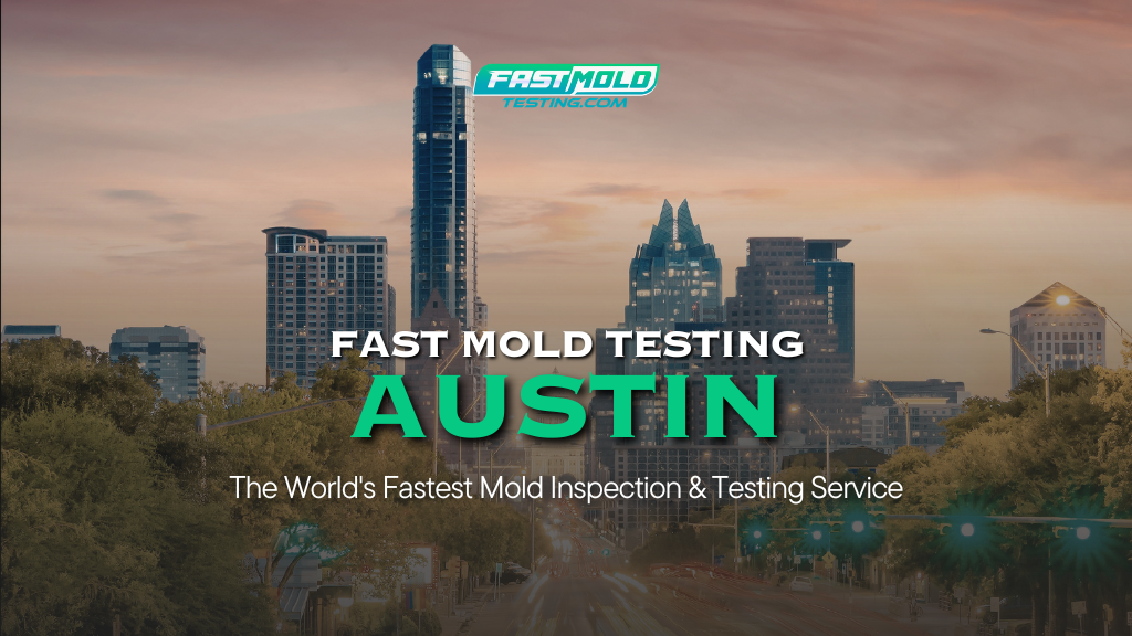 Fast Mold Testing – Austin