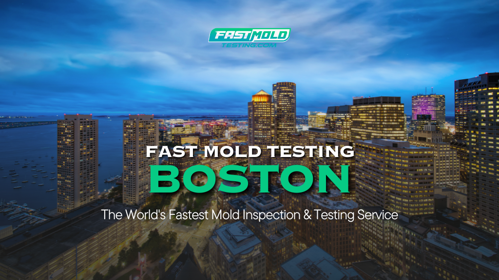 Fast Mold Testing – Boston