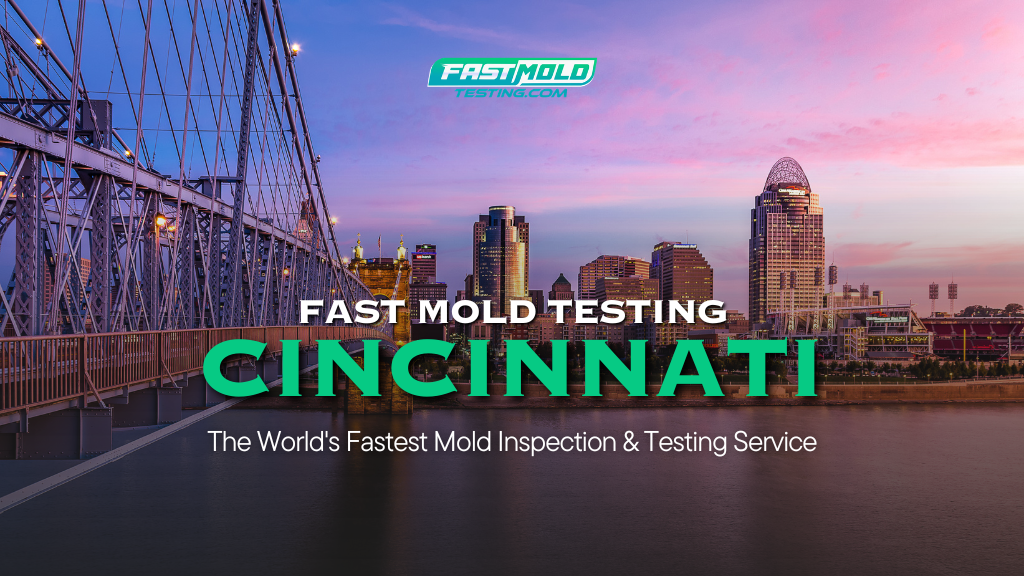 Fast Mold Testing – Cincinnati