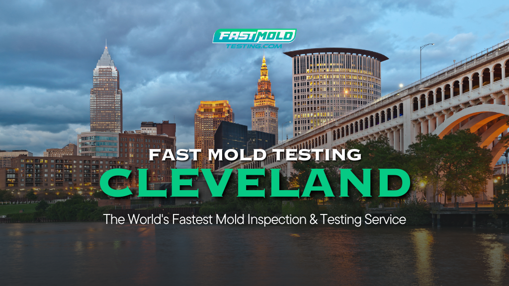 Fast Mold Testing – Cleveland